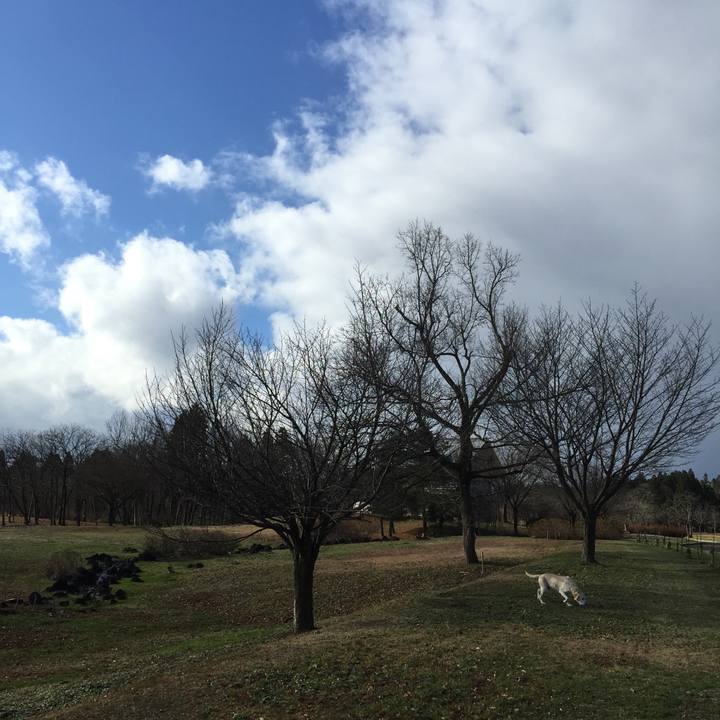 A876f20a 77a1 4af3 8787 79ae85e6caaa