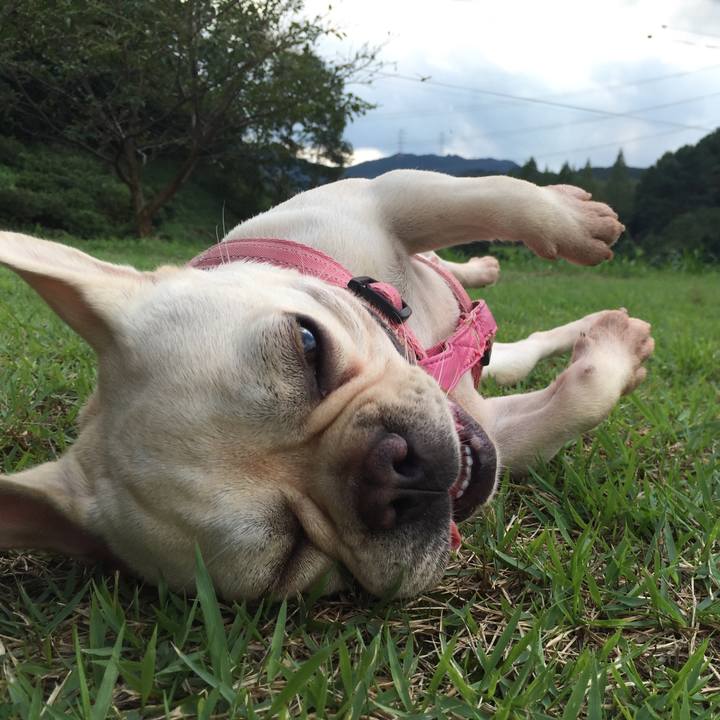 A8771acb cf19 4f3b 916e 9112ad1ddddc