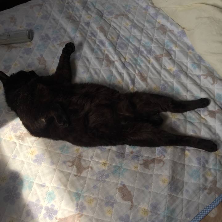 A8772793 8076 45c1 9f6e fdc79f36d04b