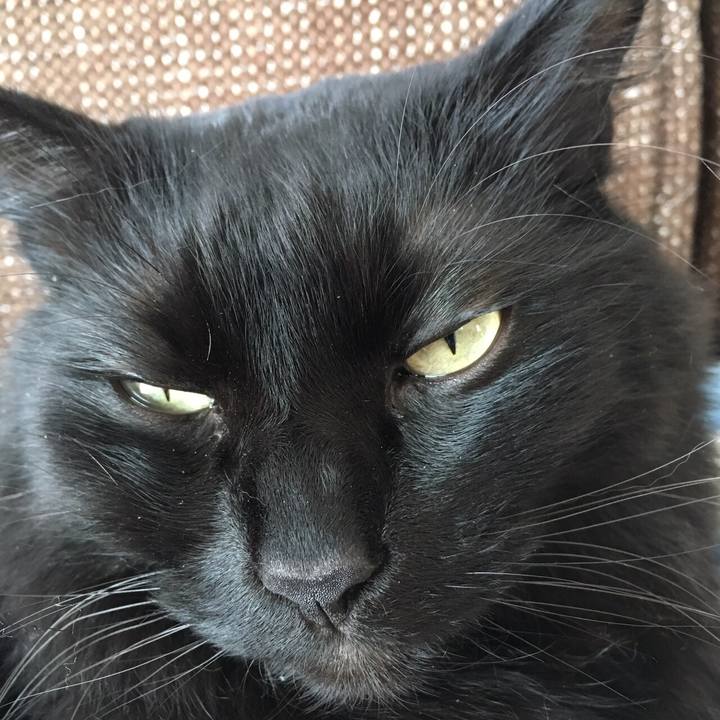 A8778208 cd16 4acf a238 b0d0f6549fe8