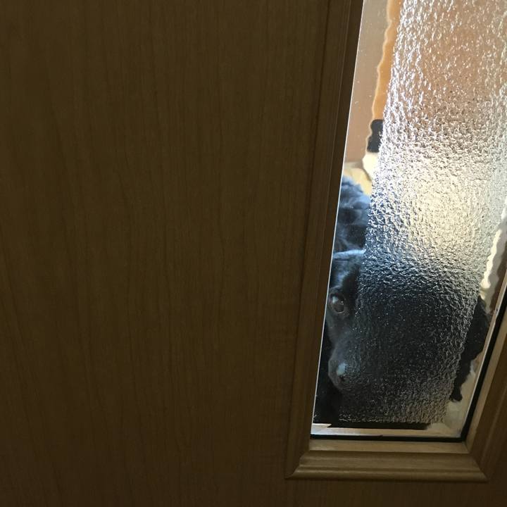 A877b163 0106 451a 913e 16ce1688a52e