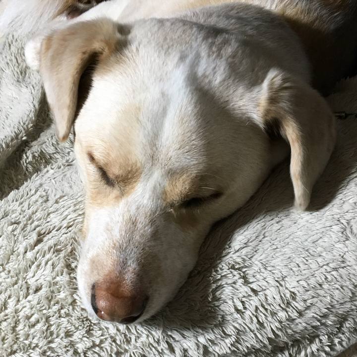 A8782381 acde 482d 8968 2ffd323de190