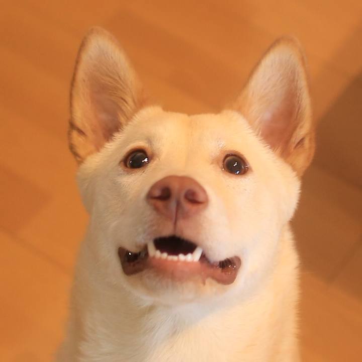 A87a05ff 7df5 4200 b0c6 930e5539843e