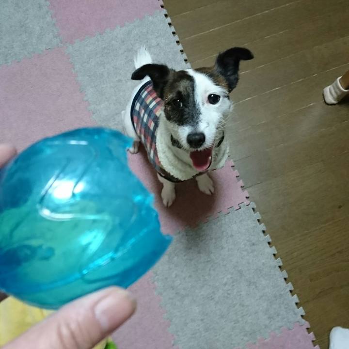 A87a0d1c a501 4462 b6c6 da3cb4ee5de4