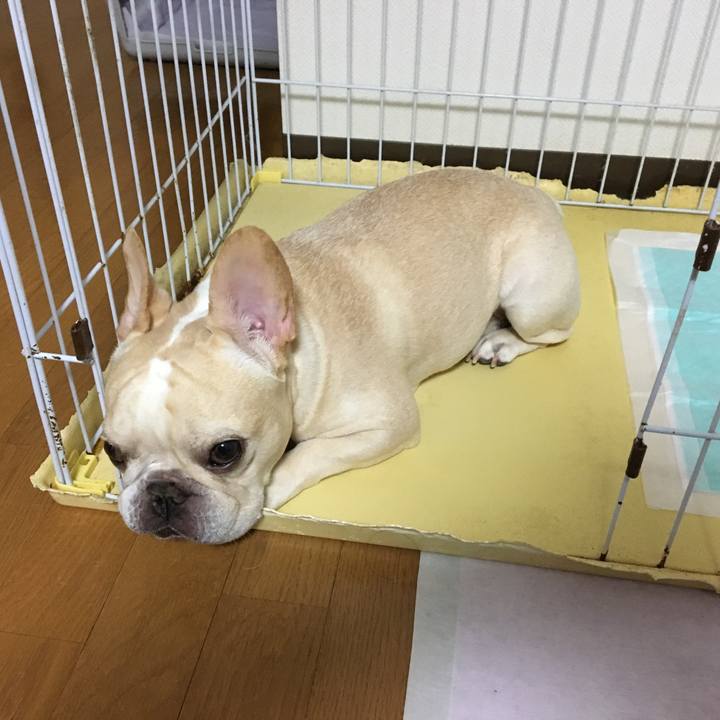 A87a1897 d095 46f9 9262 e65693ced1ae