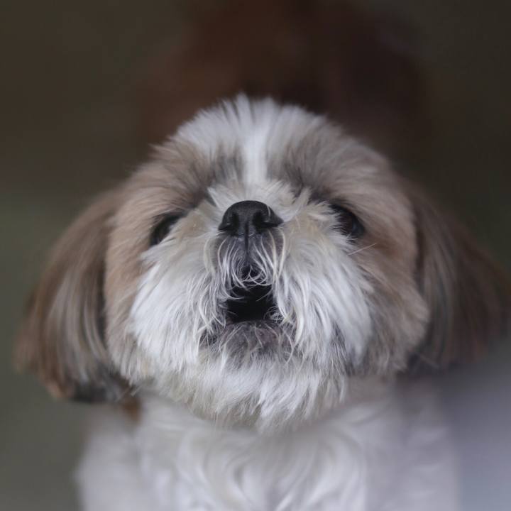 A87a29e1 e541 4523 b2c8 b6b1229812d9