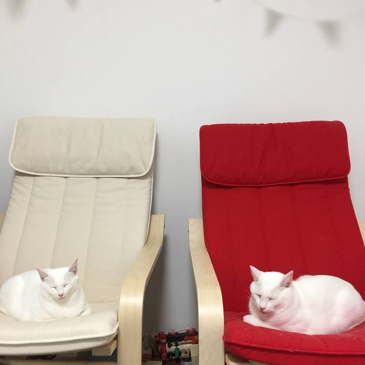 A87a418b 9c09 4a08 8e87 2c27d9cc4a82