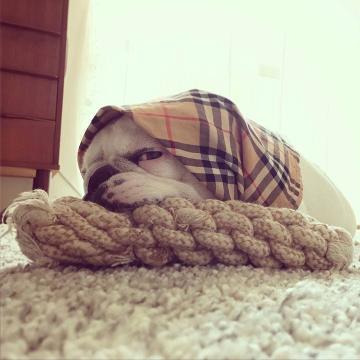 A87a8d68 7ee2 419d 80b5 a54566f5b6bc