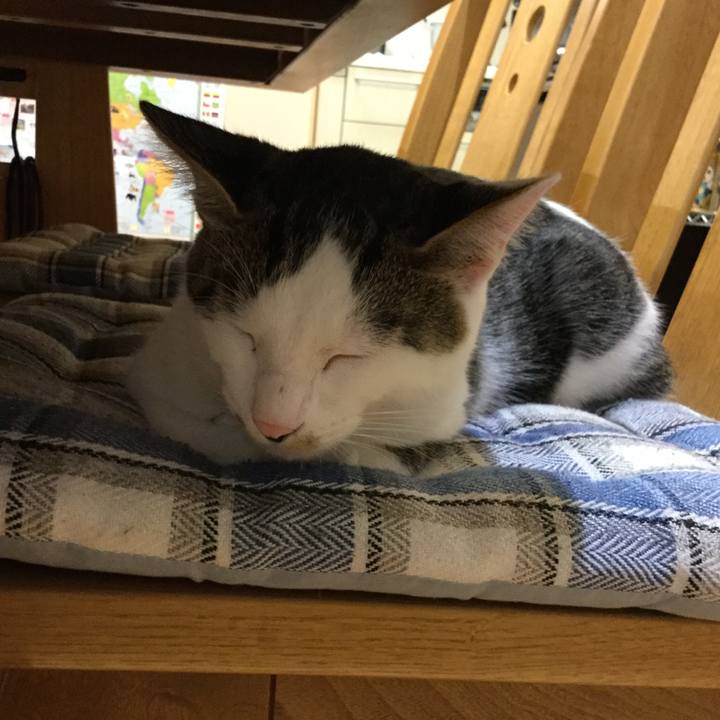 A87cc7bb cd70 4a65 ab8a 645d4ac42ebd