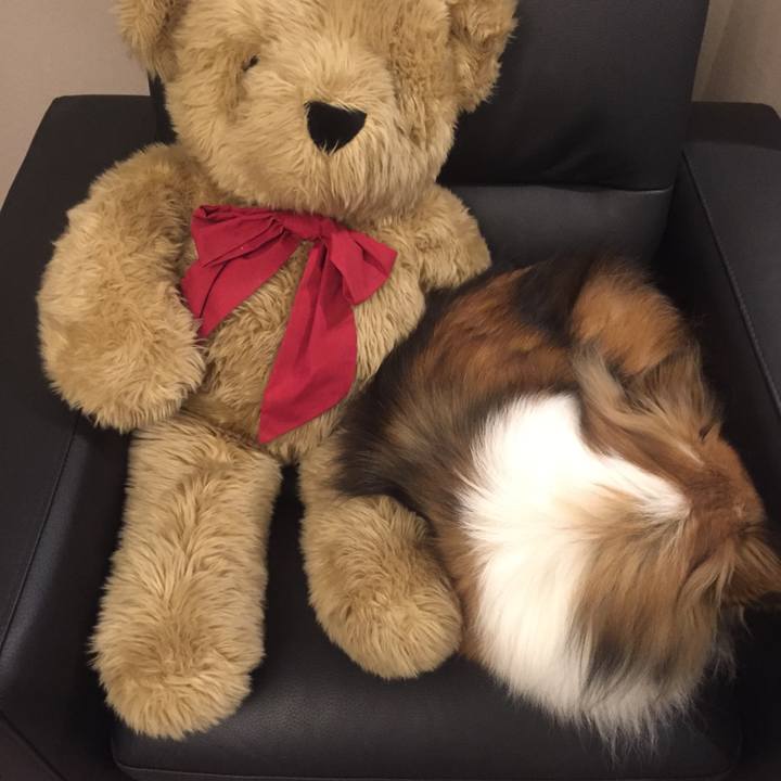 A87ce5dd 6f7d 465a 9fbf 6a1bbce6ceae