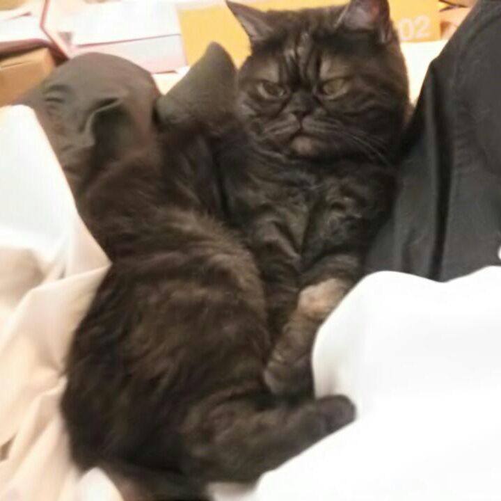 A87e5dd5 6ab9 495e a5e4 aa22fd0c942d