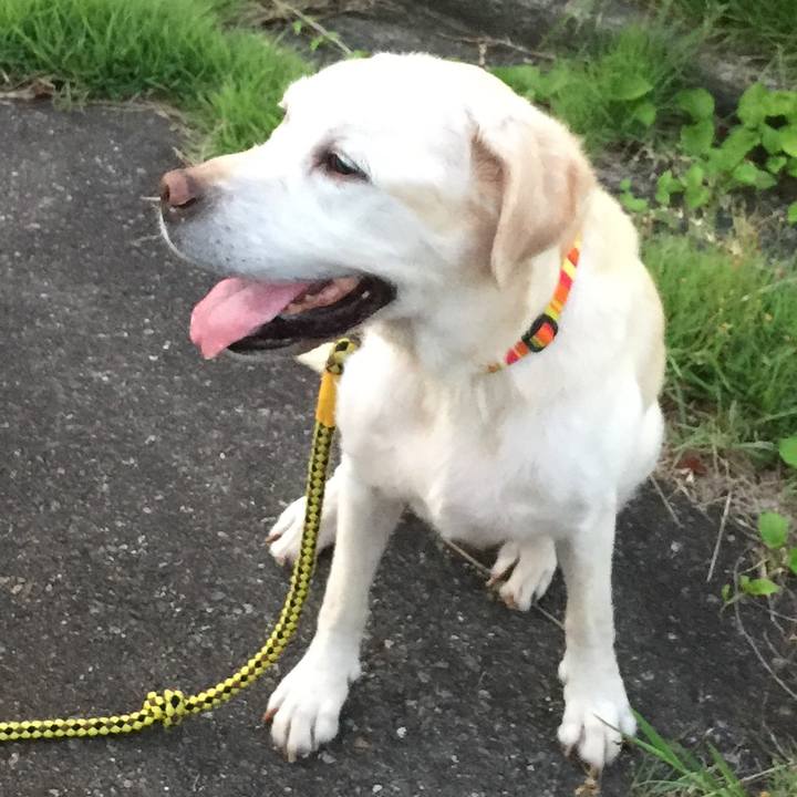 A8807106 8a33 465b 8899 b76a71dae95c