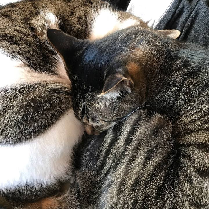 A880c1a9 0dbe 4249 9595 02a10830edb2