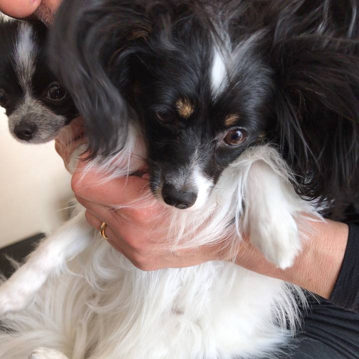 A880c663 116c 4dab 90b6 4e1117dc54b6