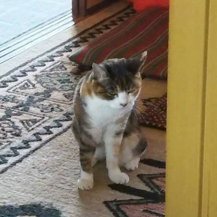 A880fadd 6c3e 4bf6 89d3 28f3d7280351