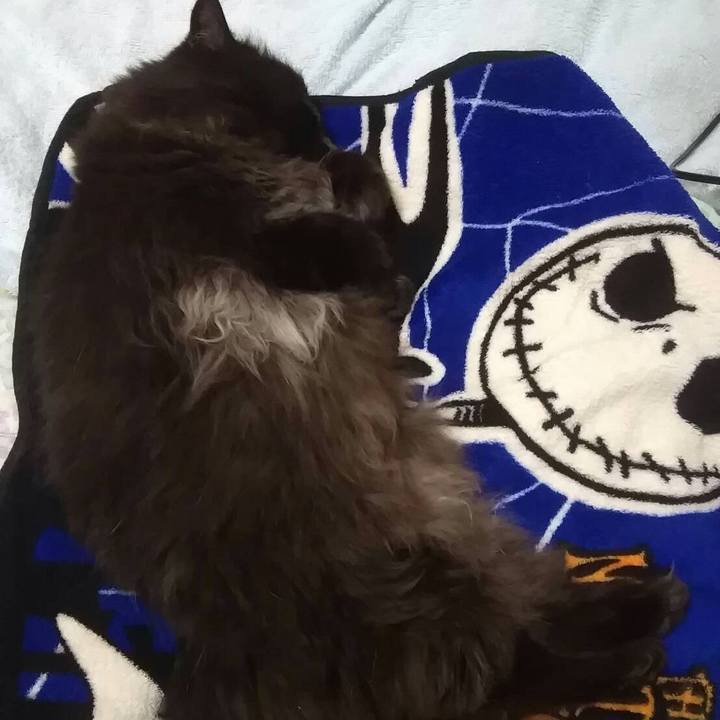 A881c8eb a1b8 4db1 83bd a7fc369f9e25