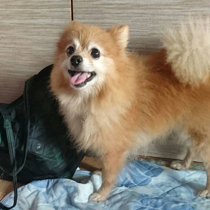 A8820151 718d 4f29 b7a1 622d3847929c