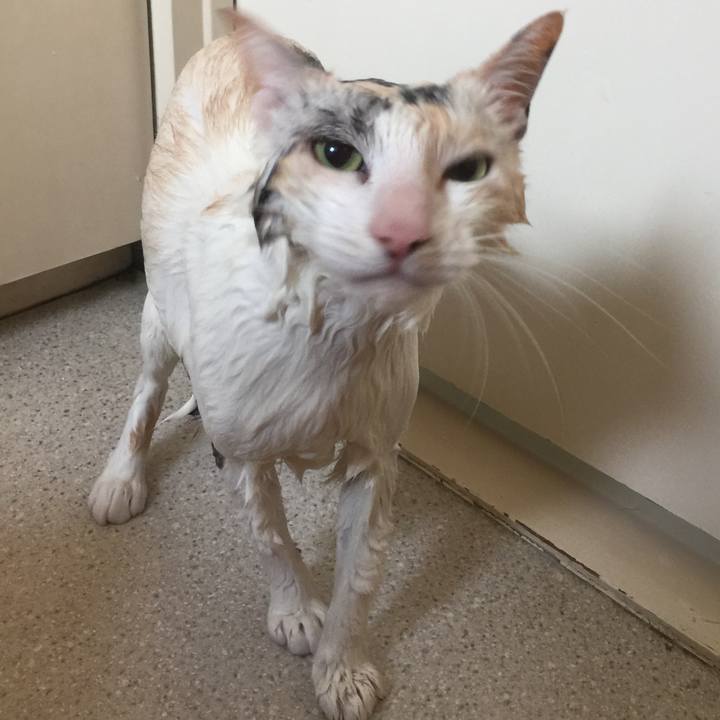 A88214f4 b890 4cd6 a85c af6f7edd07fc