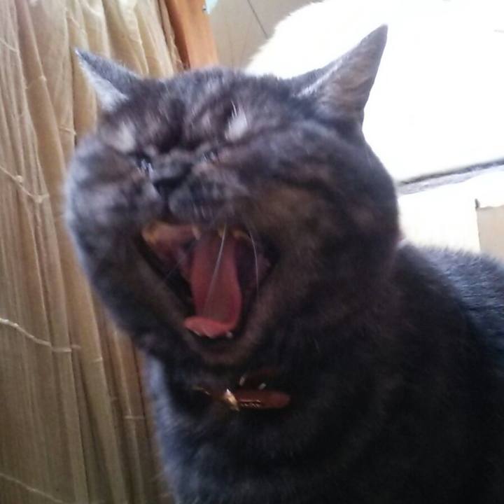 A88223cf 434b 43ea a7dd a14cd379cdbd