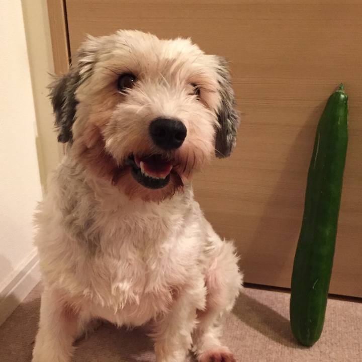 A8824da2 7c4e 48bf b821 f18860eb8ef9