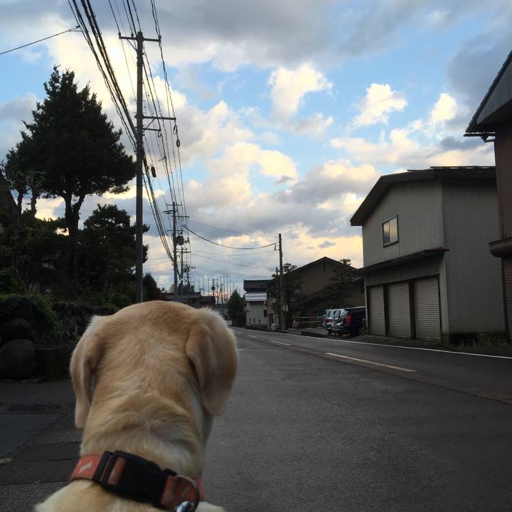 A8831515 6875 41e1 a2bd 6a7b0fe07eef