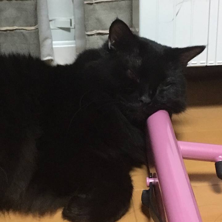 A883768f cad0 4e95 9818 65fd3ee7c920