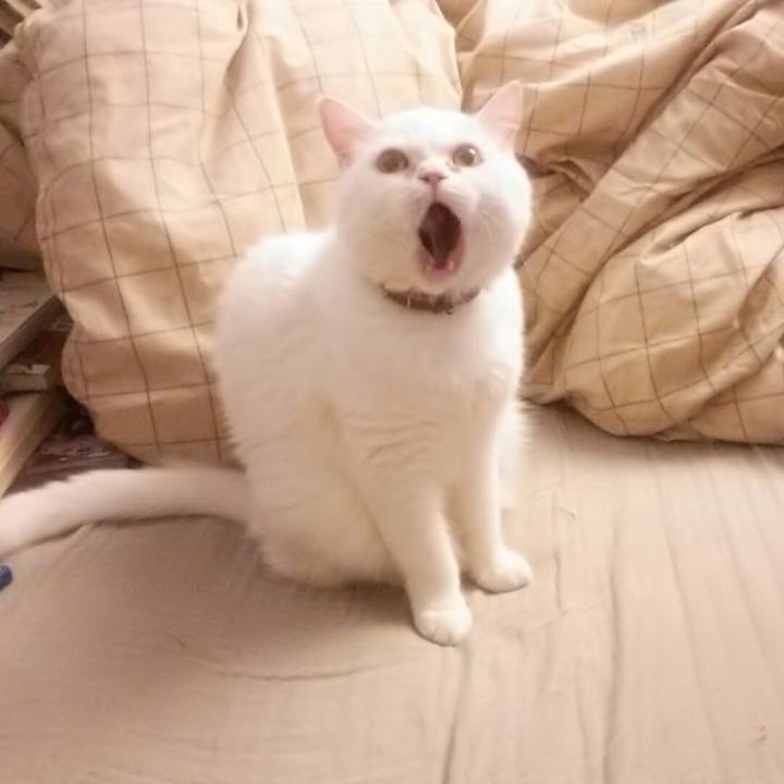 A884042c 82df 4b30 91f3 81723eafa6c9