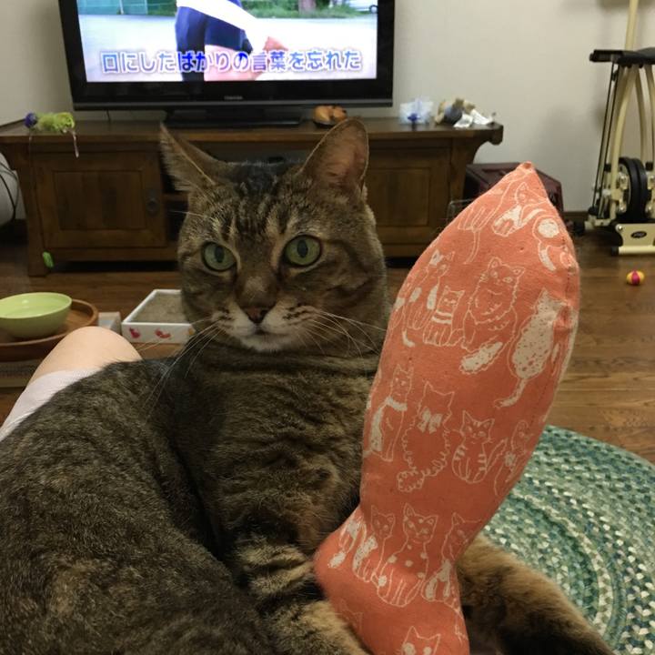 A8840d92 c25d 4429 b5dd 008e0b80ad90