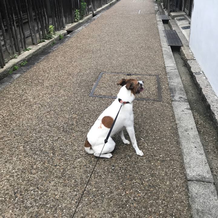 A8850a2f 2041 4460 b3cf e65daa7fa68c