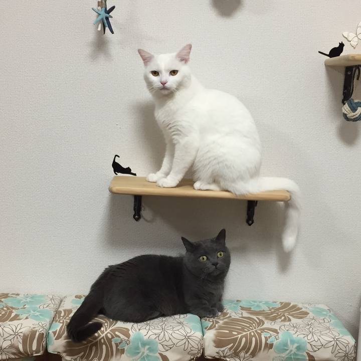 A88518f2 09e4 4a5e b696 bc353859ab9c