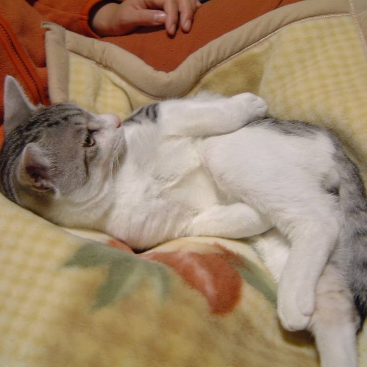 A8855bb5 fa6b 4bf6 badf 0a42b448a2a5