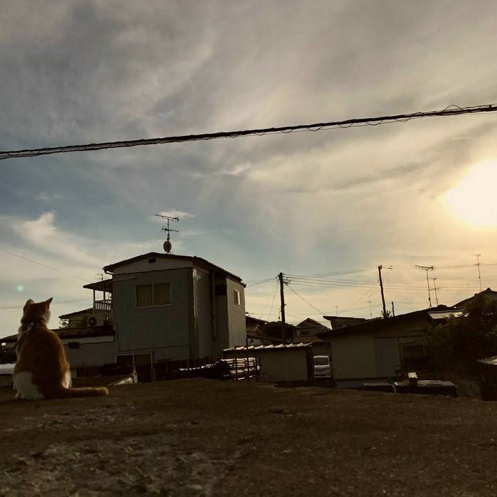 A8859aba fc2e 4e71 99b8 224a618aceae