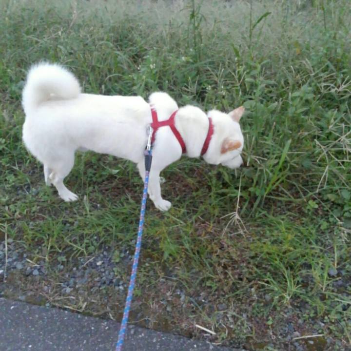 A885a9ae 0a1b 4e8a a869 1bccefd4ba91