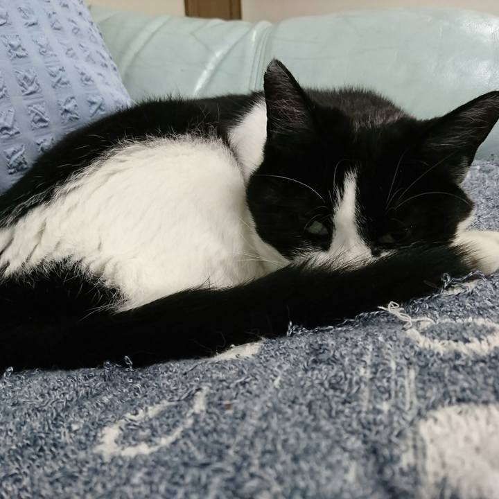 A885c026 a8ce 44e4 994c 98addf4e81e5