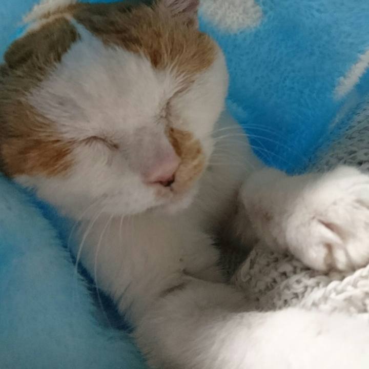 A8862e98 6a0f 4855 b5fb f8086f6b0f8a