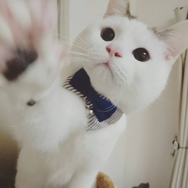 A88643f7 a6f8 4112 a18d d3f6e50fa269