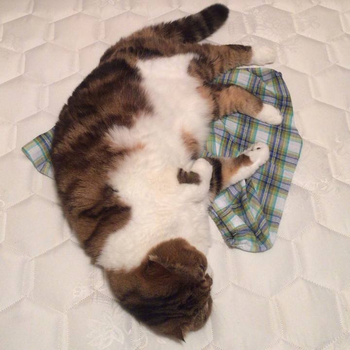 A8864a64 bf7e 4ce6 8366 7d31dcdaa51f