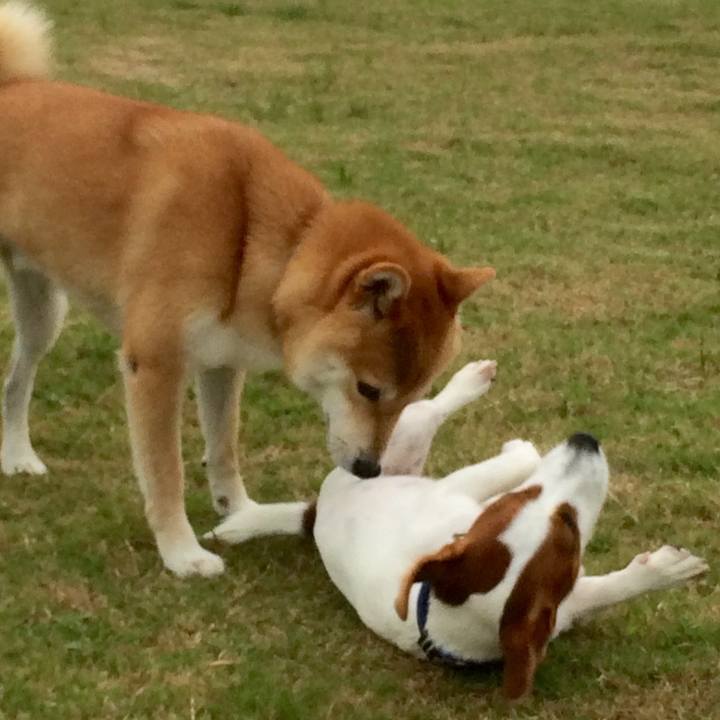 A8867c5e d38c 49bf 8c4b e4a2303763ed