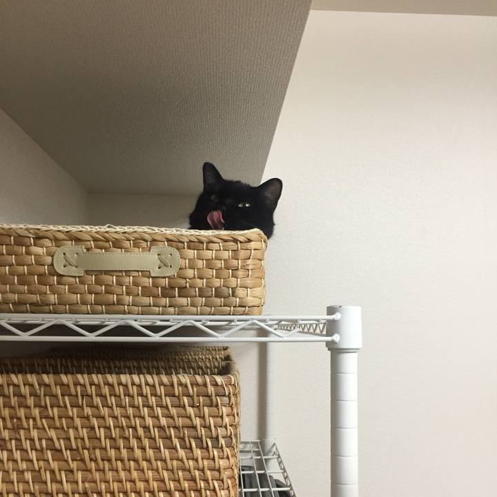 A8870640 0386 465b 9174 71a351f624ea