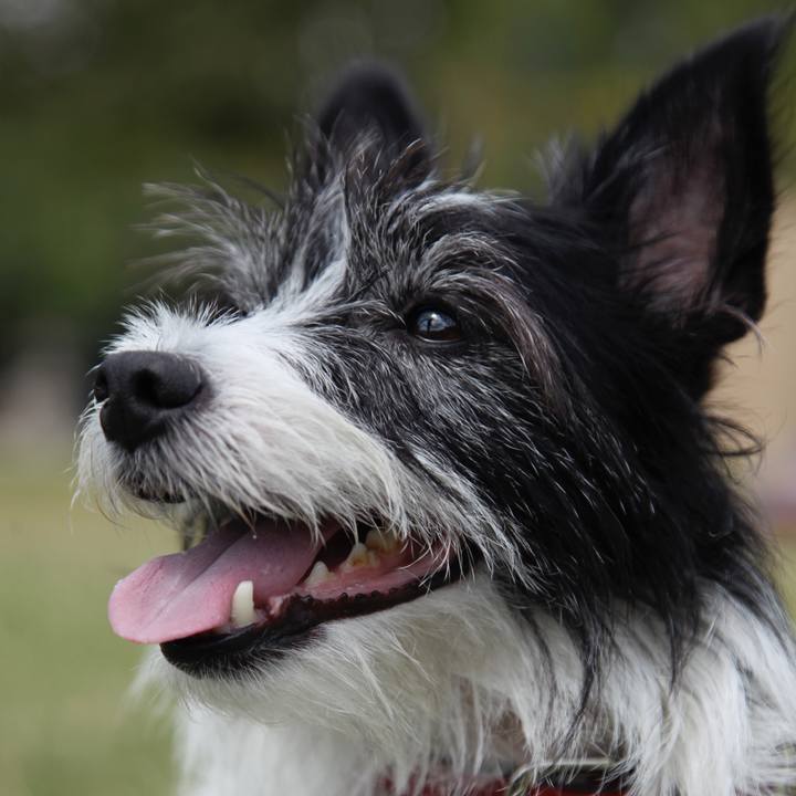 A887e5ad 6d08 46b3 b545 bbd7884ec7de