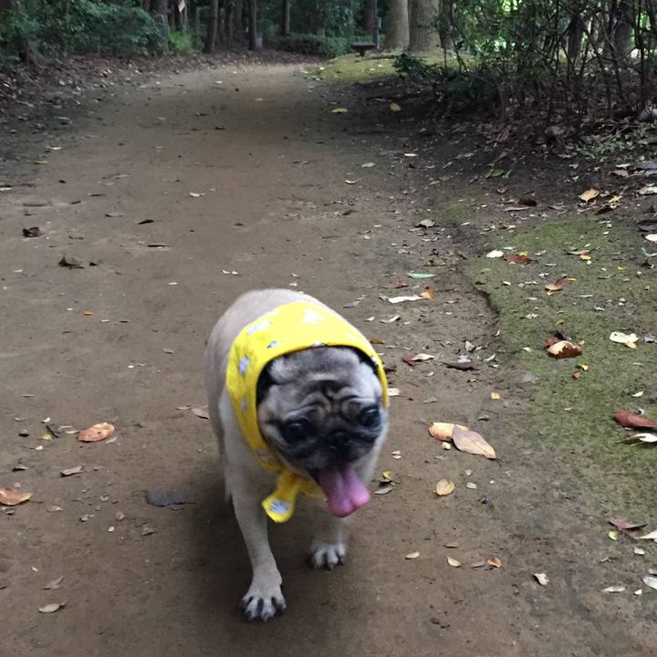 A88807ba 5e58 4cbf b04b dc2331d2626a