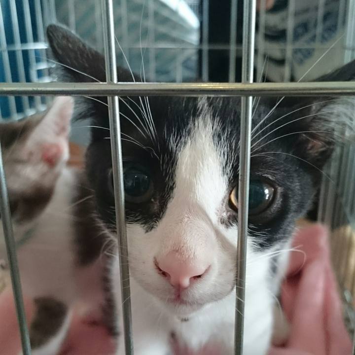 A888d78b 572b 49f0 9d06 ce03a53f875e