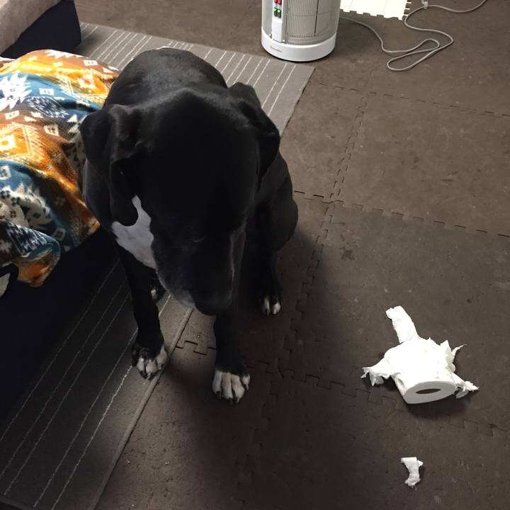 A8895a26 bfbc 4b7f 91e2 15e56c9e73bc