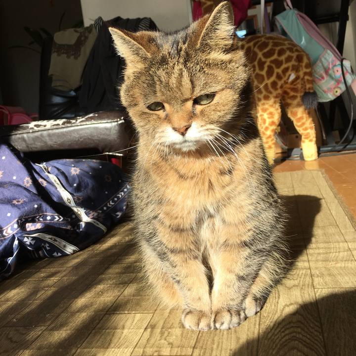 A889a8ea 3a99 433f b280 949bb46c6866