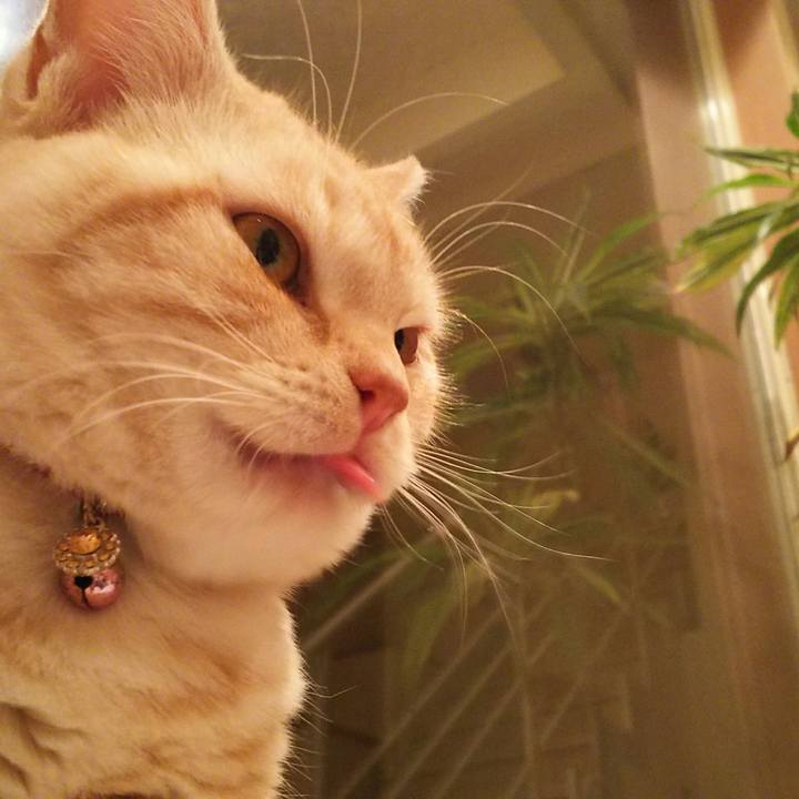 A88a3d83 0ee8 40da ae98 43d531755a2f