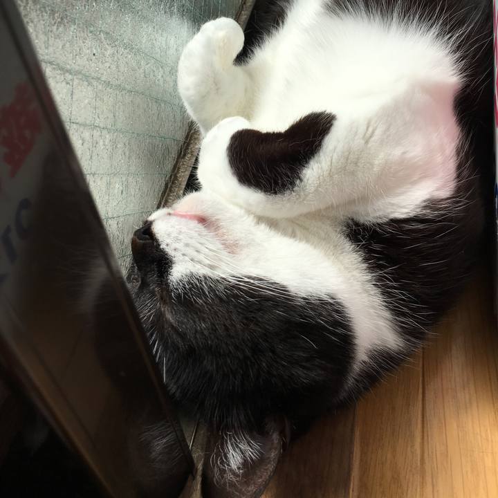 A88a5a12 fa35 49ba 8c4d 64ea11a968de