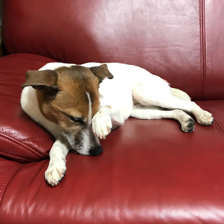 A88b5873 7a0b 48a6 91e6 c18283e8c699