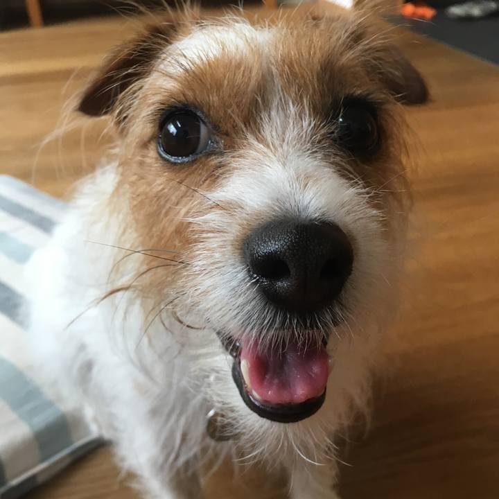 A88bf2f7 814e 461d b54b 91aacaf6eed2