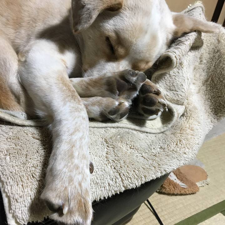 A88c16f2 5648 4399 a2fb 7a4e97b2f3ac