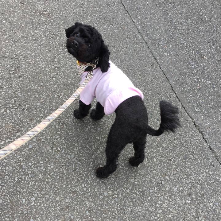 A88d1313 0347 4b0d 9c6f 214da1db234f